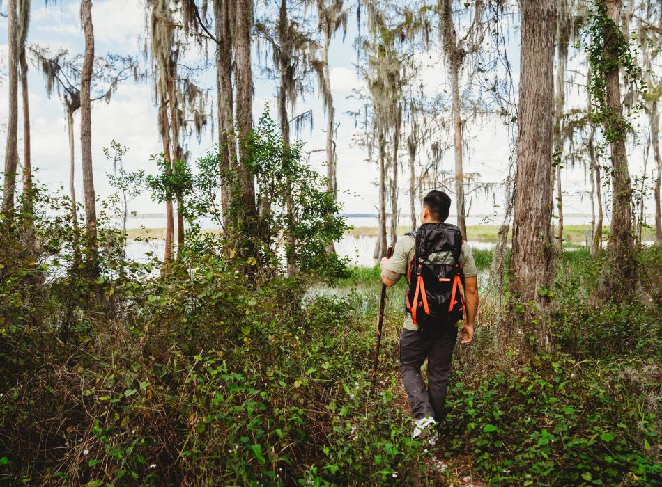 Hiker at Lake Louisa