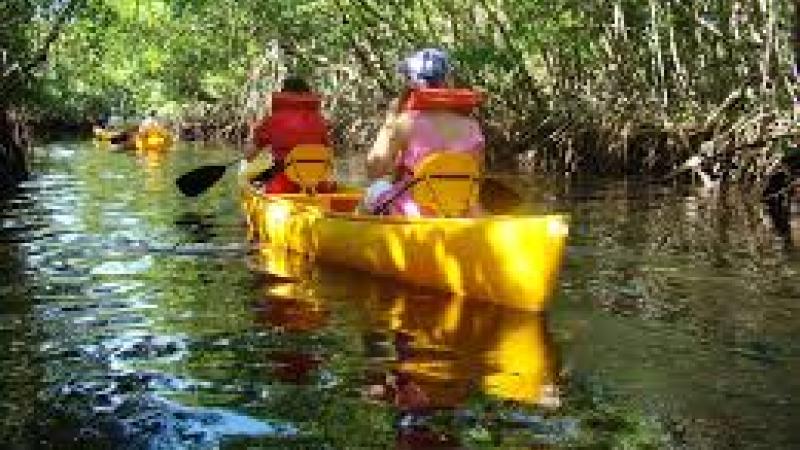 A view of people paddling down the river.