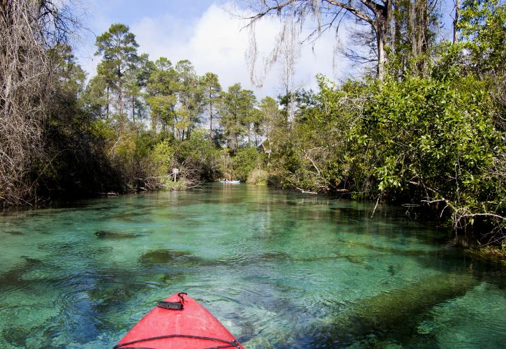 Paddling down the Weeki Wachee River